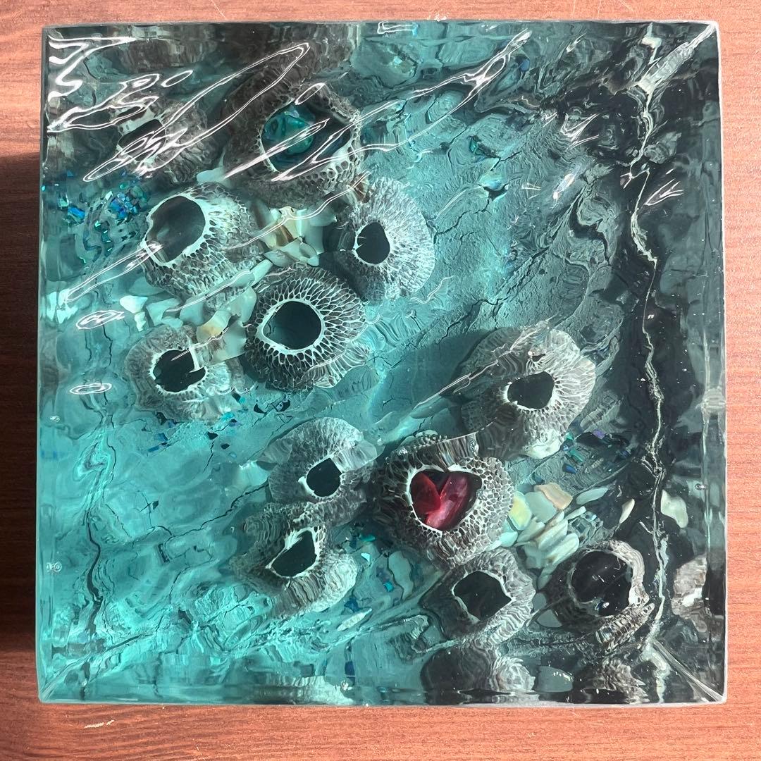 波紋アート】フジツボアート／barnacle／オブジェ／10cmプリズム