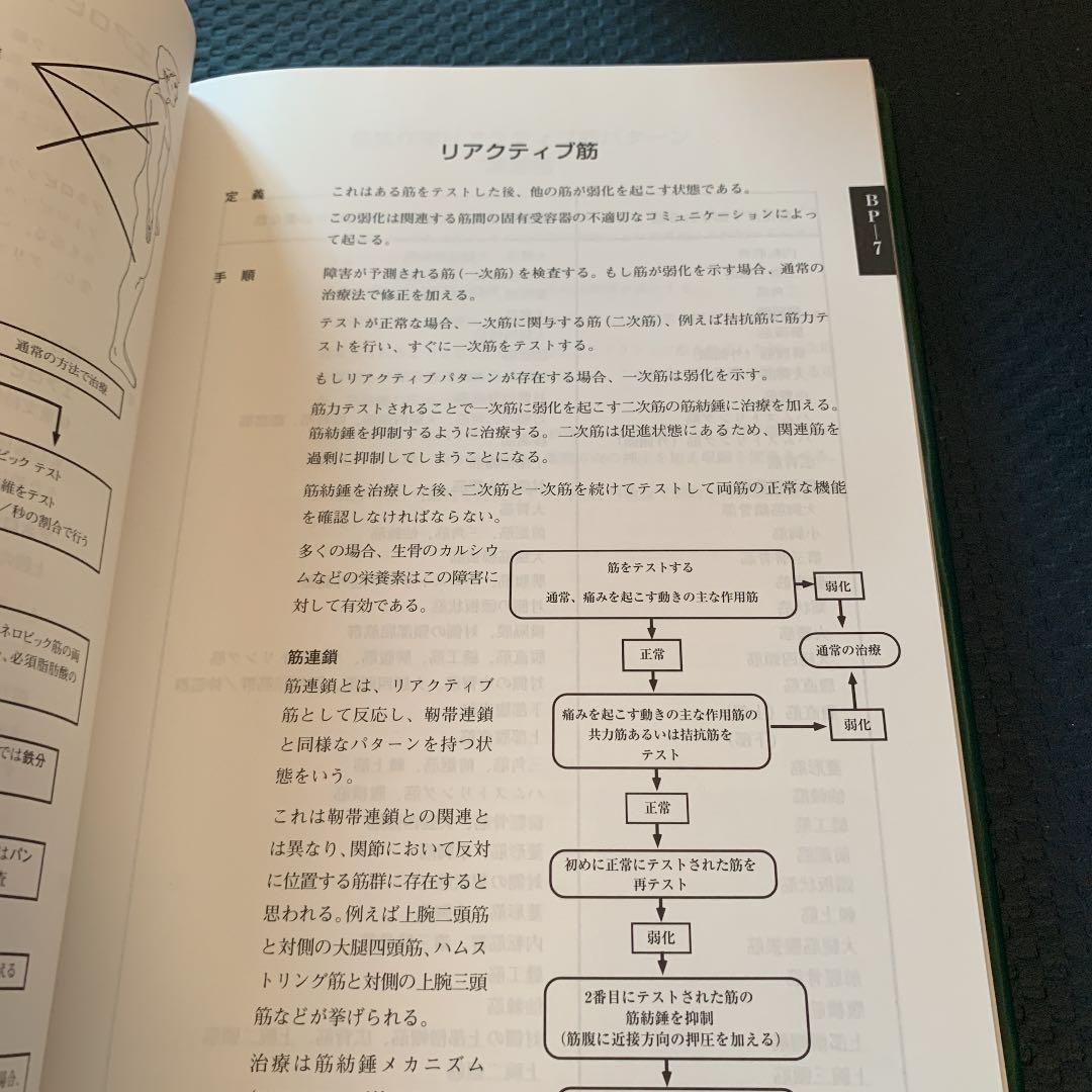 アプライド キネシオロジー フローチャート マニュアル