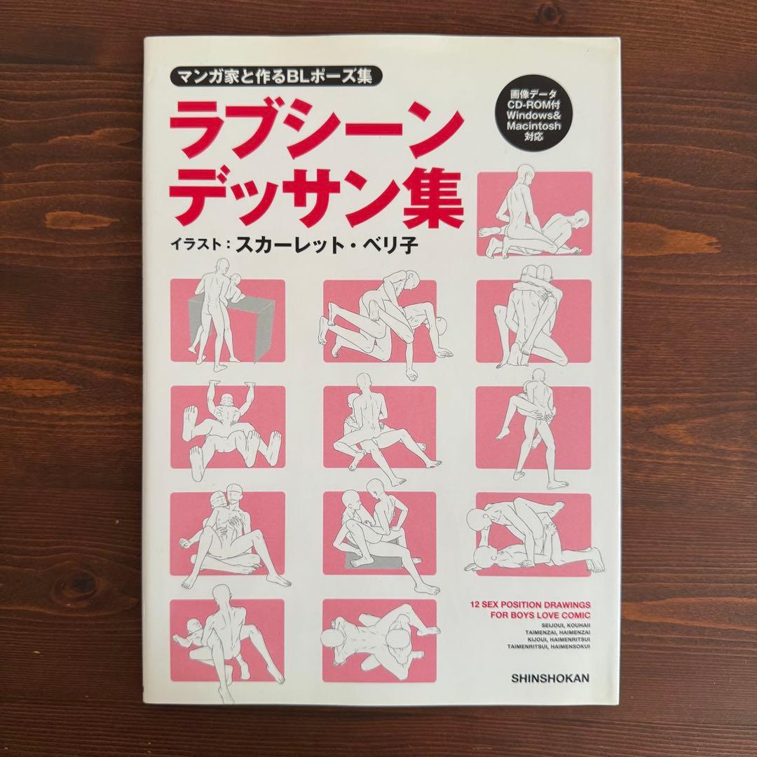 マンガ家と作るBLポーズ集 ラブシーンデッサン集1&3（2冊セット