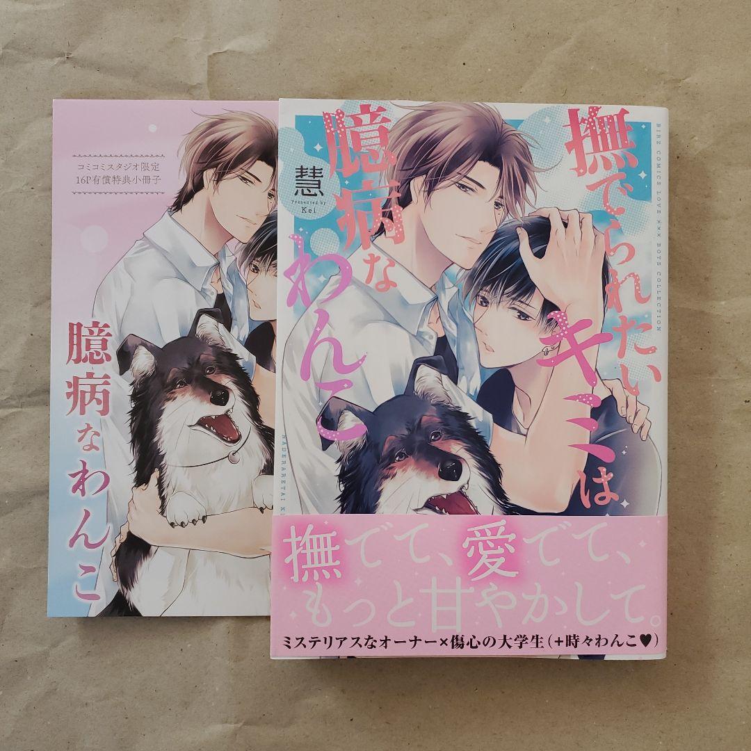 BL漫画 特典 小冊子 リーフレット - メルカリ