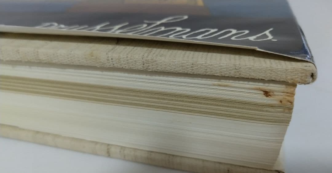 ジャン・ブルッセルマン Jean BRUSSELMANS 画集 全作品目録 洋書