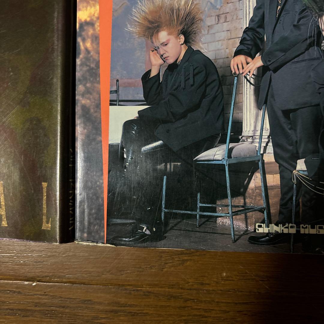 BY-SEXUAL Sexuality バイセクシャル バンドスコア 写真集