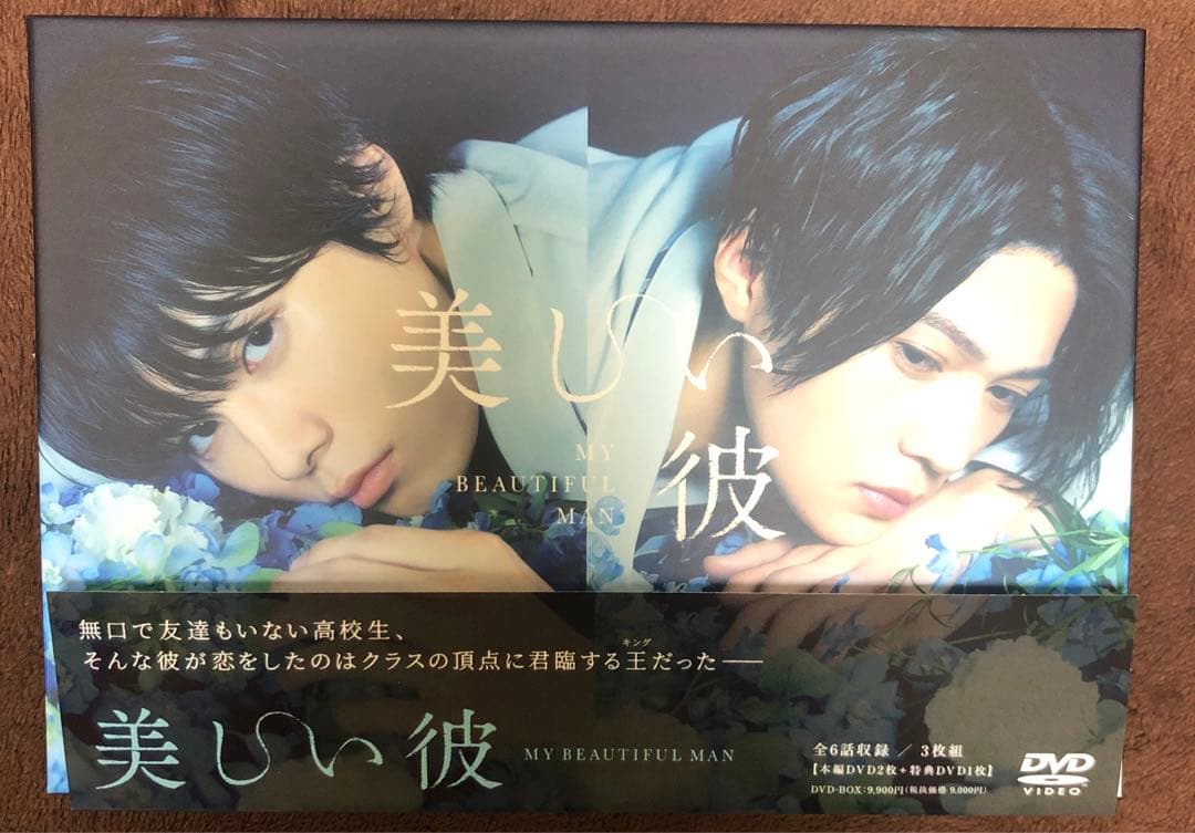 美しい彼 シーズン1・2 ・劇場版 DVD-BOX [DVD] まとめ売り - メルカリ