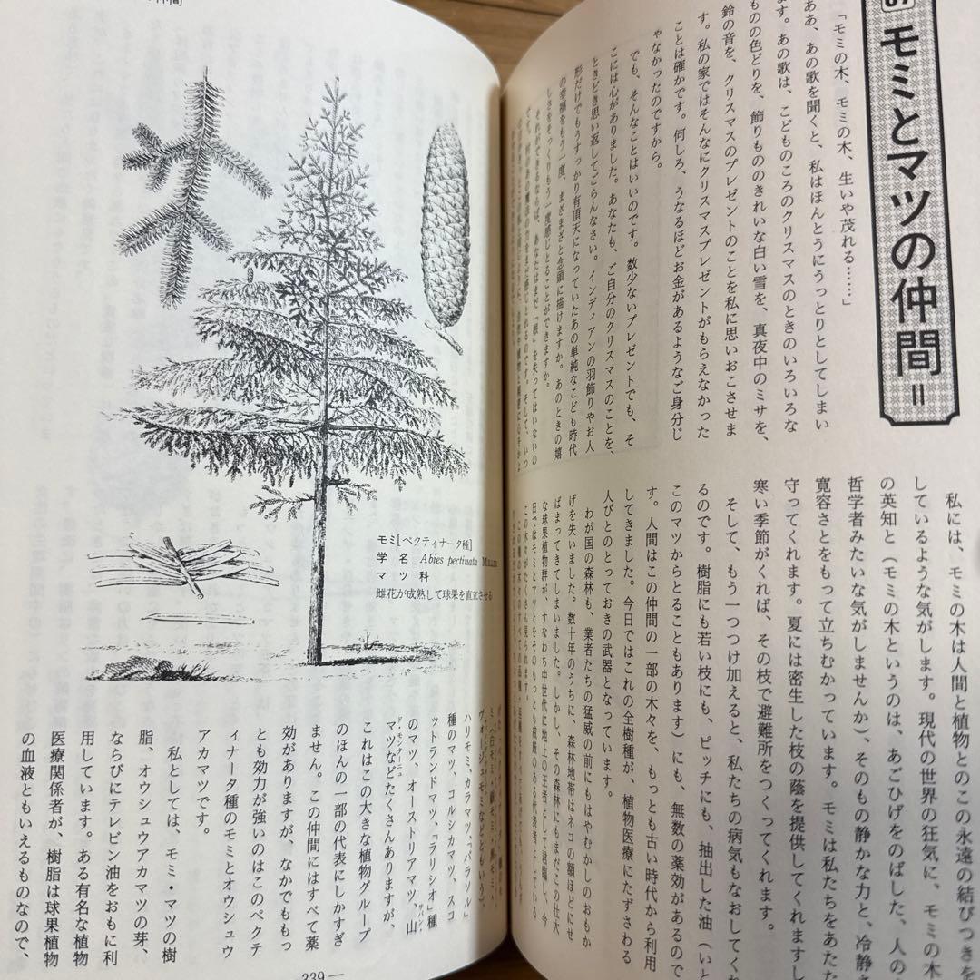 メッセゲ氏の薬草療法 ハーブ 薬草 自然療法 本 自然の友社 モーリス