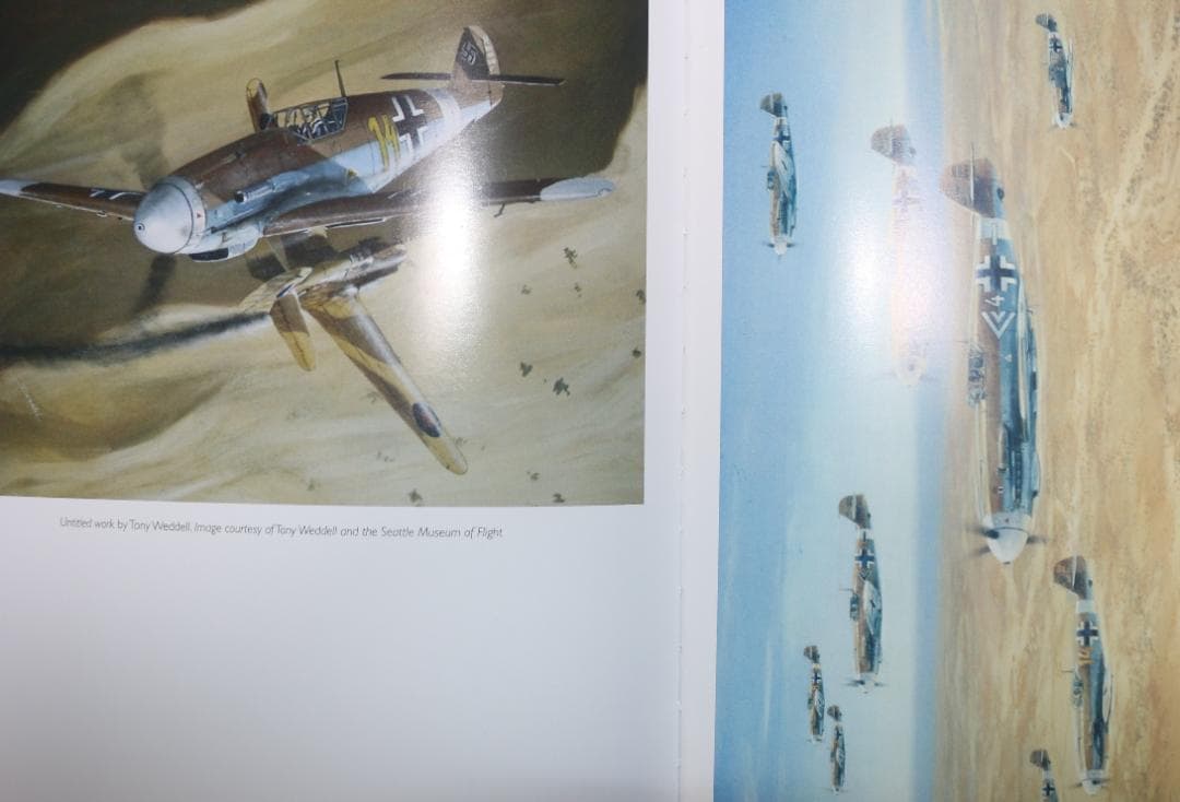 貴重 アフリカの星 撃墜王ハンス・ヨアヒム・マルセイユ『洋書』中古本