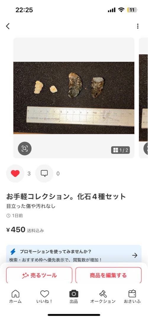 ひでさん様専用 化石セット