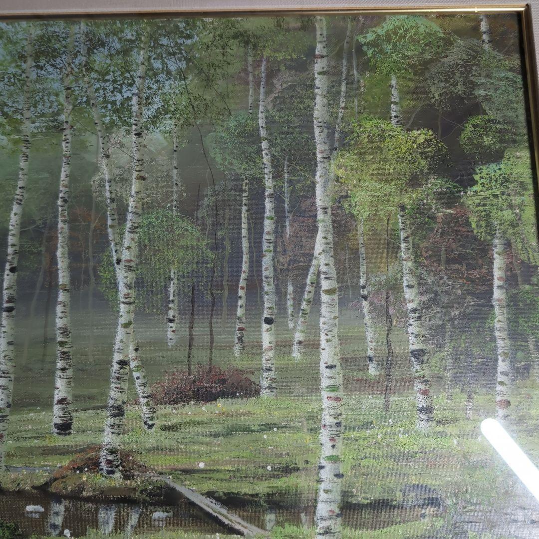 油彩画】早瀬遼 作 白樺林 肉筆画 F10 新緑美しく春〜夏に運気向上する