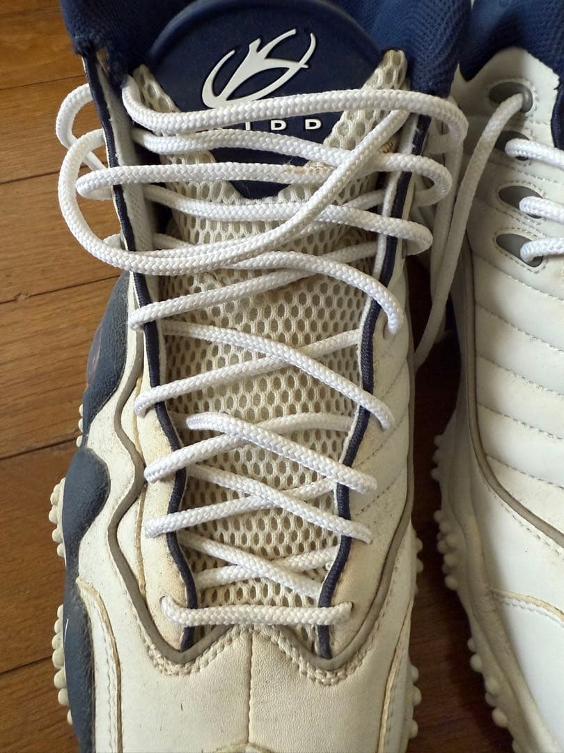 エアズームフライト5 29.5㎝ - メルカリ