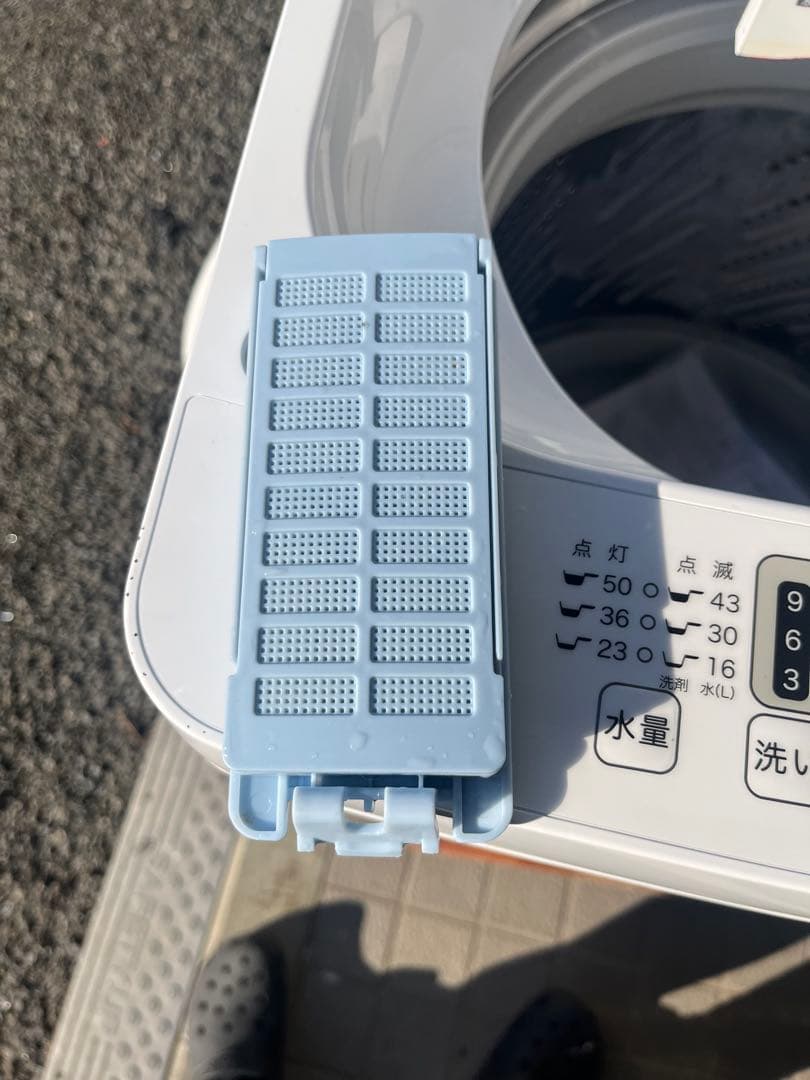 洗濯機 ハイセンス 2024年 HWG55BK1 5.5kg 全自動 美品◇