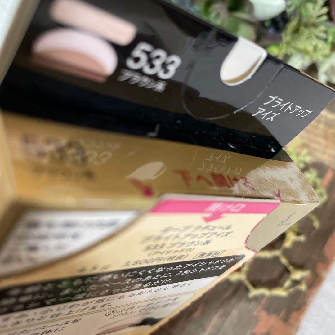 ☆生産終了品☆ オーブ クチュール ブライト アップアイズ 533