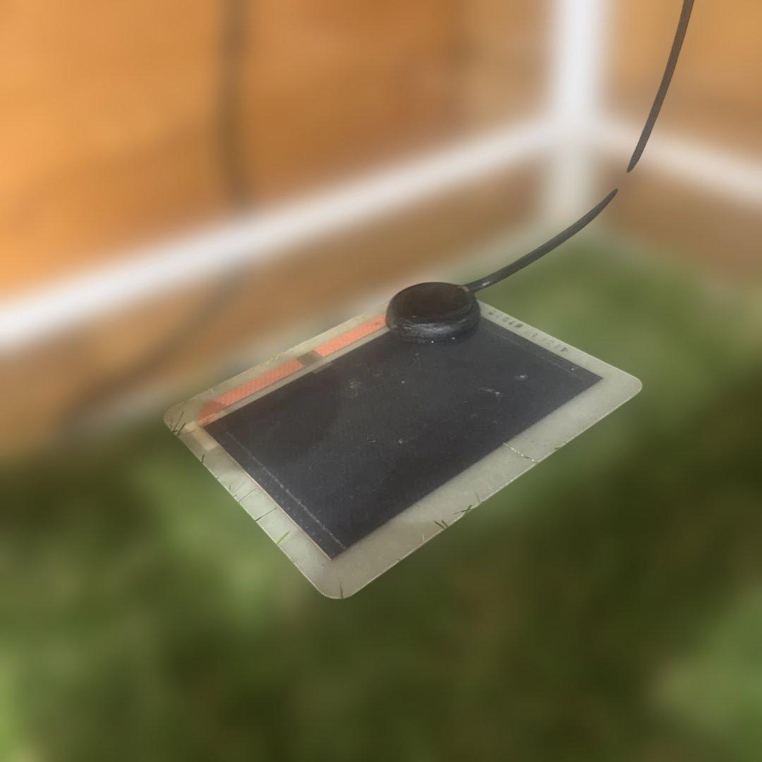 パンテオン6045 他飼育セット - メルカリ