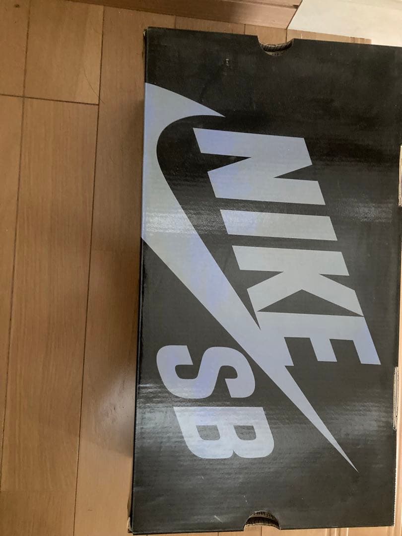 希少※NIKE DUNK PRO SB