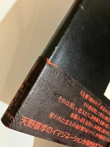 レア 天野喜孝イラスト「魔笛」初版本 帯付き ファンタジー アート