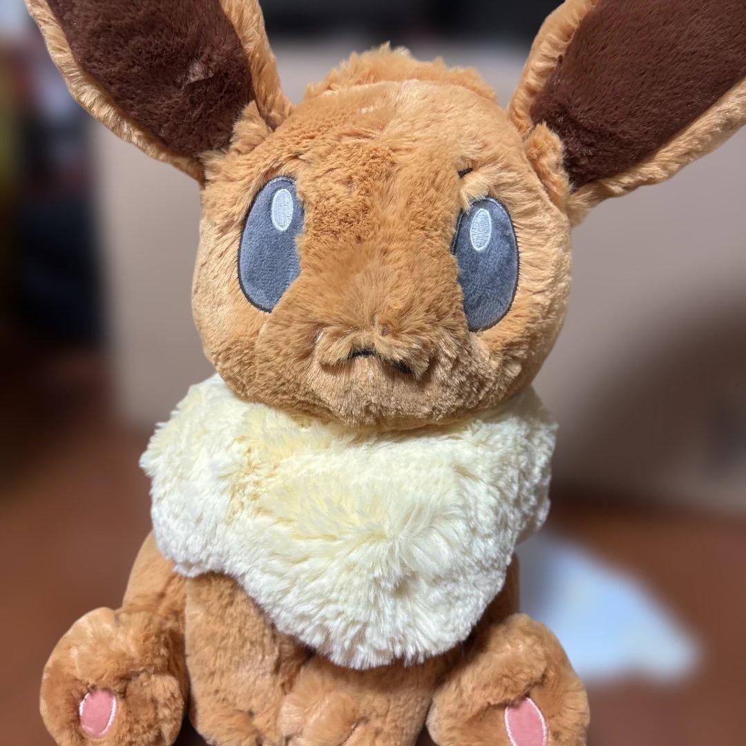 ポケモンセンター限定 ふわふわ抱きぬいぐるみ ブイズ - メルカリ