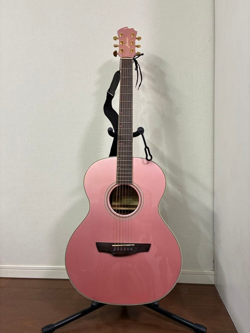 アコースティックギター James J-500A/SPC エレアコ James J-500S BLK エレアコ アジャスタブルサドル搭載 簡単弦高調整