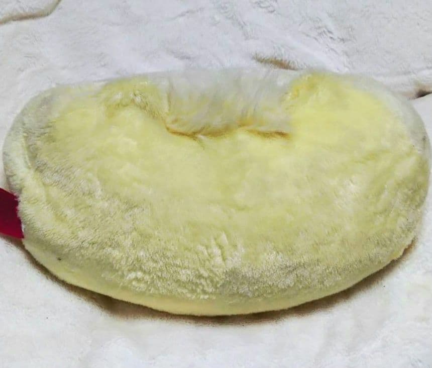 ひだまりさん 激レア ぬいぐるみ 7周年 カピバラさん 入手困難 レトロ