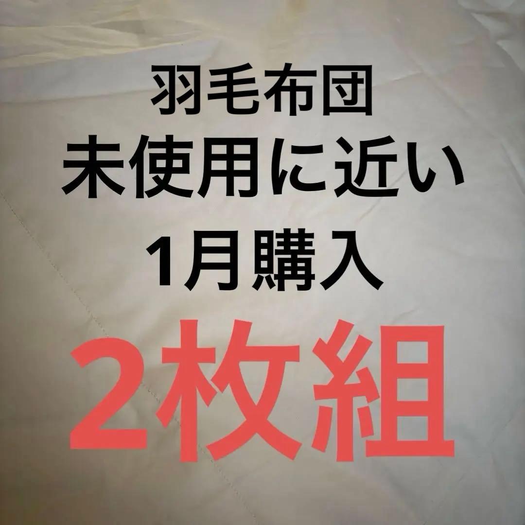 【2枚組】羽毛肌掛け布団 ダウンケット 薄掛け タンスのゲン ダウンケット シングル 洗える 2枚組 肌掛け布団 羽毛