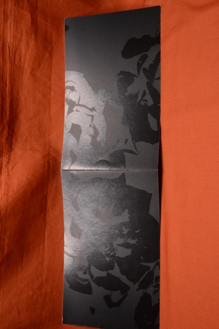 VISIONAIRE 40：DAVID SIMS ROSES　★★値下げしました