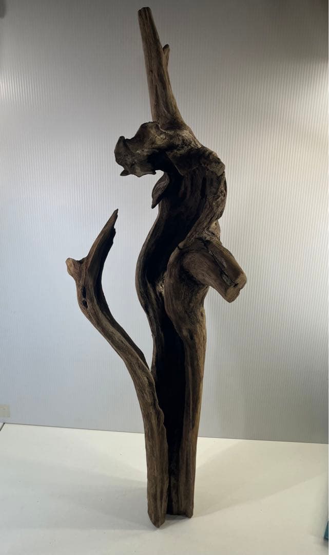 R71特大流木 アク抜き済み流木 爬虫類シェルター 登り木 インテリア 生け花 R71特大流木 アク抜き済み流木 爬虫類シェルター 登り木 インテリア 生け花