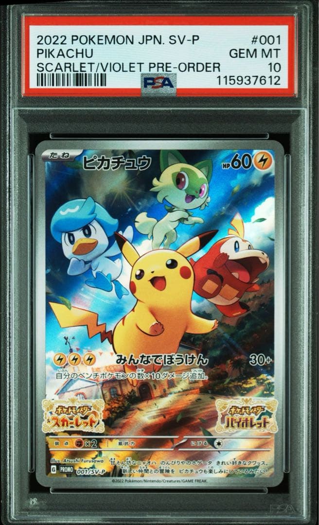 匿名配送】MTG 適者生存 日本語版