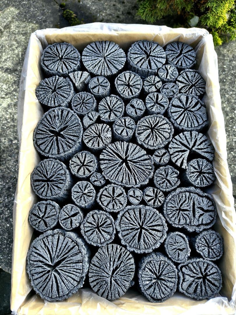 伊予の切炭 】約6kg クヌギ菊炭×2箱