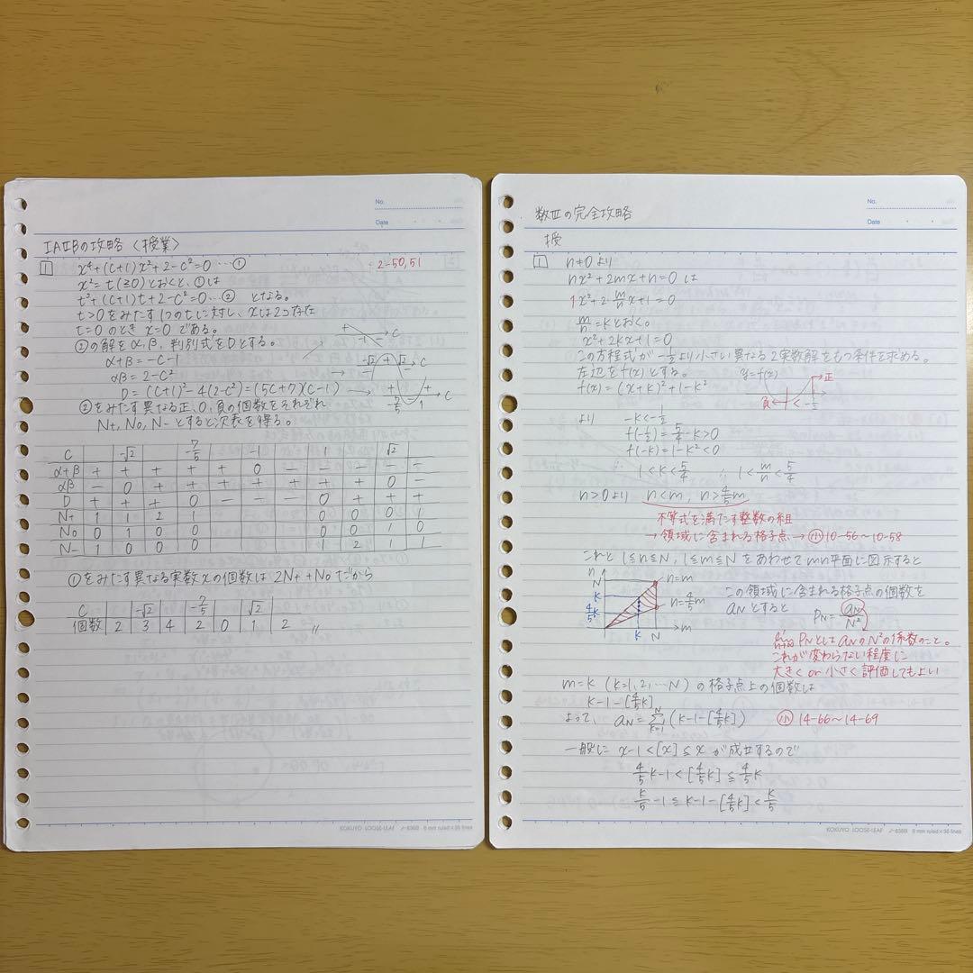 駿台 特設単科 数学IAIIBの完全攻略 数学IIIの完全攻略