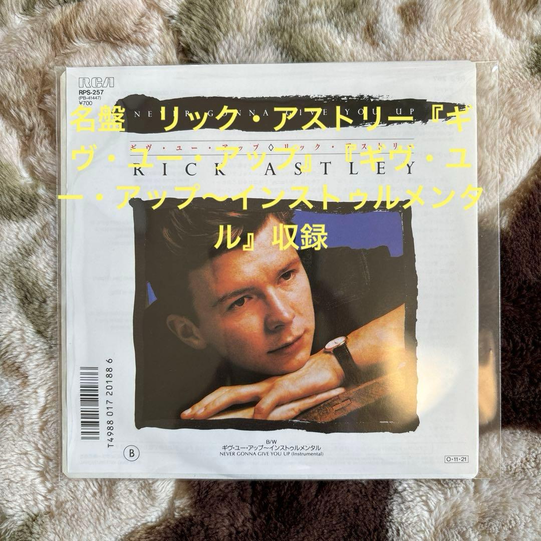 リック・アストリー／ギヴ・ユー・アップ／ユーロビート／レコード／名