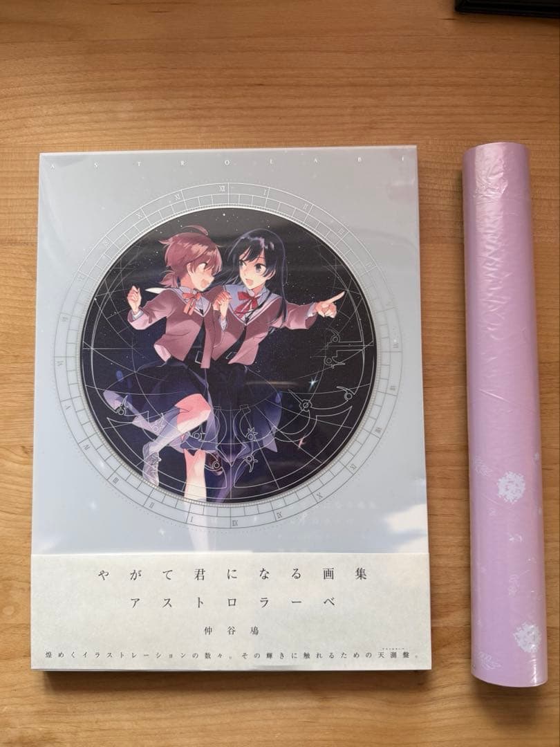 やがて君になる 画集 アストロラーベ カバー - メルカリ
