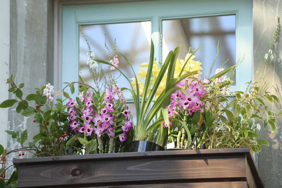 キヤノン Canon EF100-300mmF4.5-5.6 USM（訳あり）