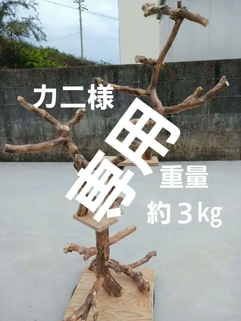 バードアスレチック バードアスレチックジム 止まり木、小鳥、流木(焼き入れ) バードアスレチック バードアスレチックジム 止まり木、小鳥、流木