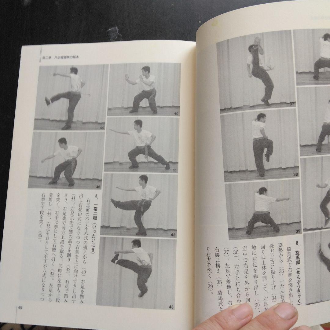 螳螂拳秘法 蘇昱彰 八歩 蟷螂拳 八極拳 武術 武藝 中国武術 テコンドー