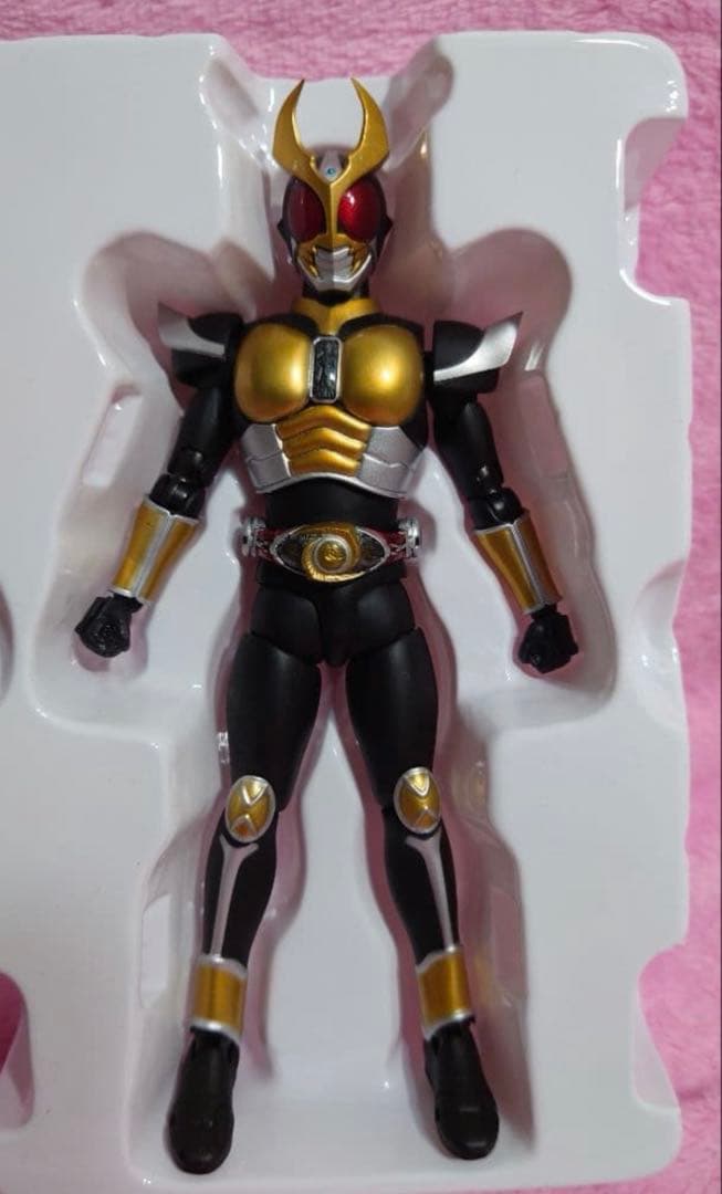 S.H.Figuarts 真骨彫製法 仮面ライダーアギト　グランドフォーム