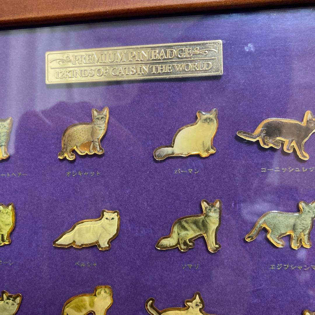 ファイザー社 世界の猫ピンバッチ 額入り アンティーク ビンテージ