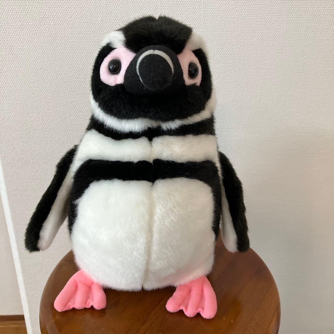 すみだ水族館 オリジナル 飼育員監修 マゼランペンギン ぬいぐるみ M