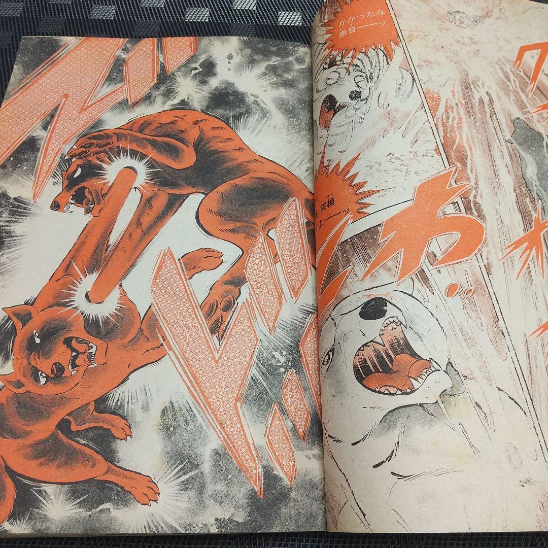 週刊少年ジャンプ 1986年49号※ミスターホー 読切 鳥山明※北斗の拳 巻頭