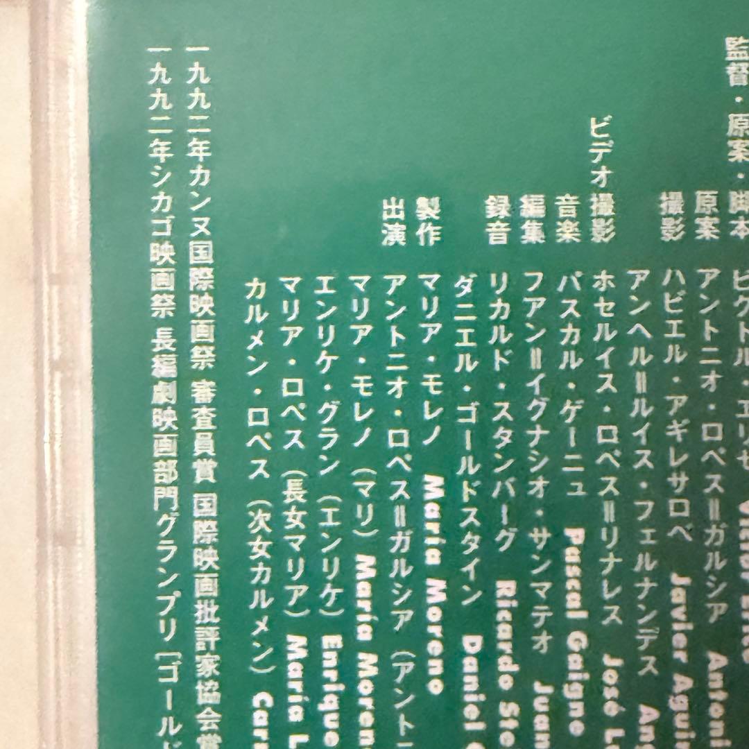 大雪特価‼️幻の傑作‼️「マルメロの陽光('92スペイン)」ヴィクトル