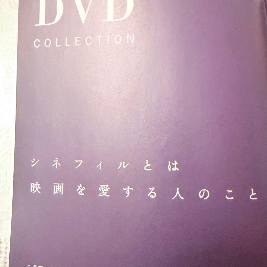 大雪特価‼️幻の傑作‼️「マルメロの陽光('92スペイン)」ヴィクトル