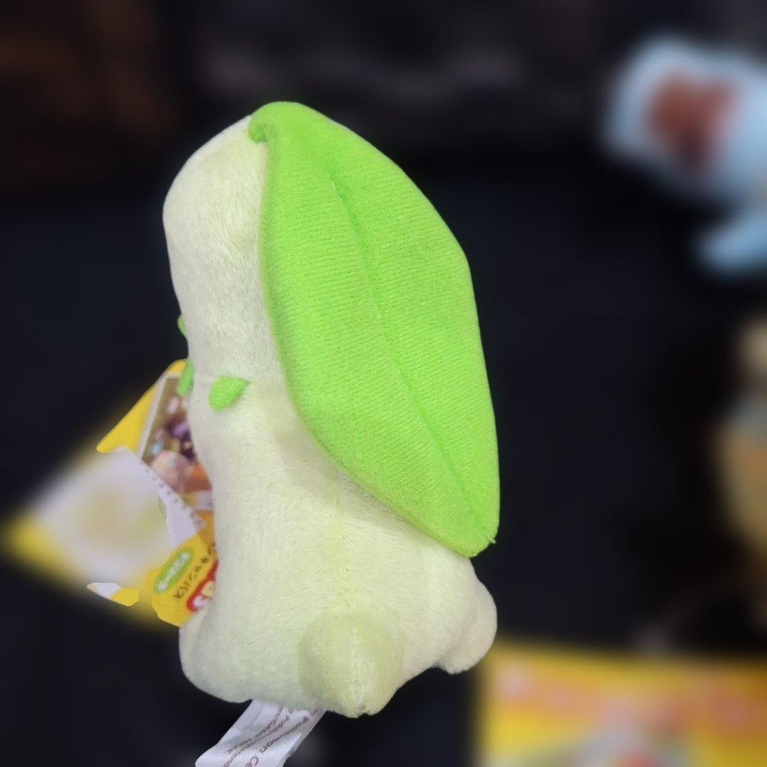 ポケモンセンター キャンバス チコリータ ワニノコ ヒノアラシ