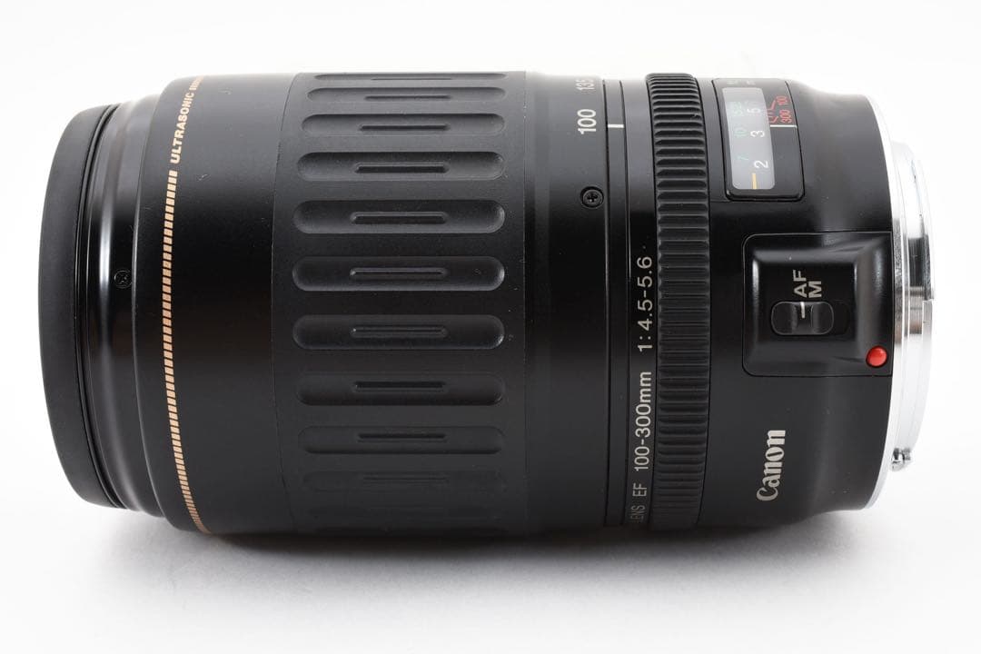 超望遠レンズ Canon EF 100-300mm F4.5-5.6 USM