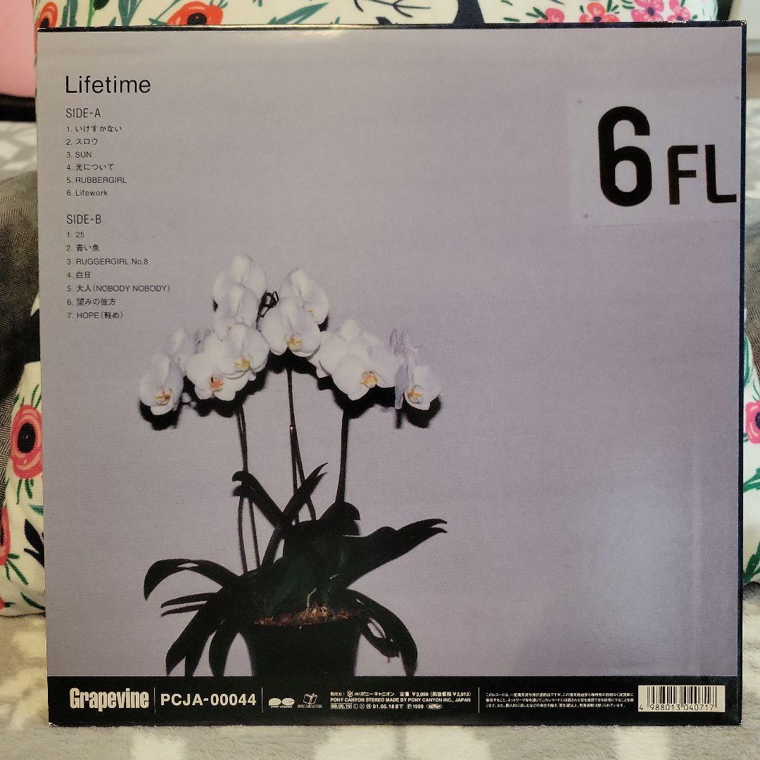 GRAPEVINE グレイプバイン LIFETIME アナログ レコード - メルカリ