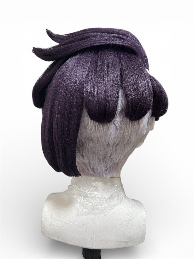 ポケモンZA カラスバ ウィッグ - メルカリ