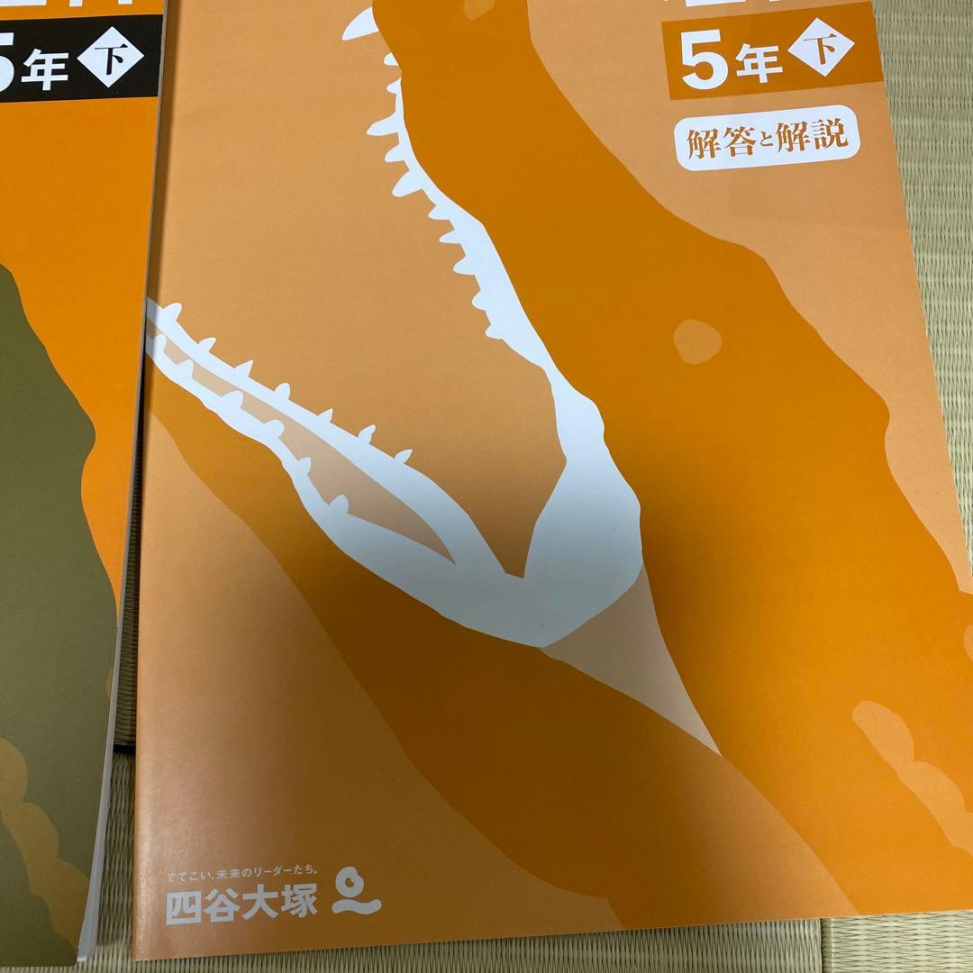 理科 5年 下 解答と解説 - メルカリ