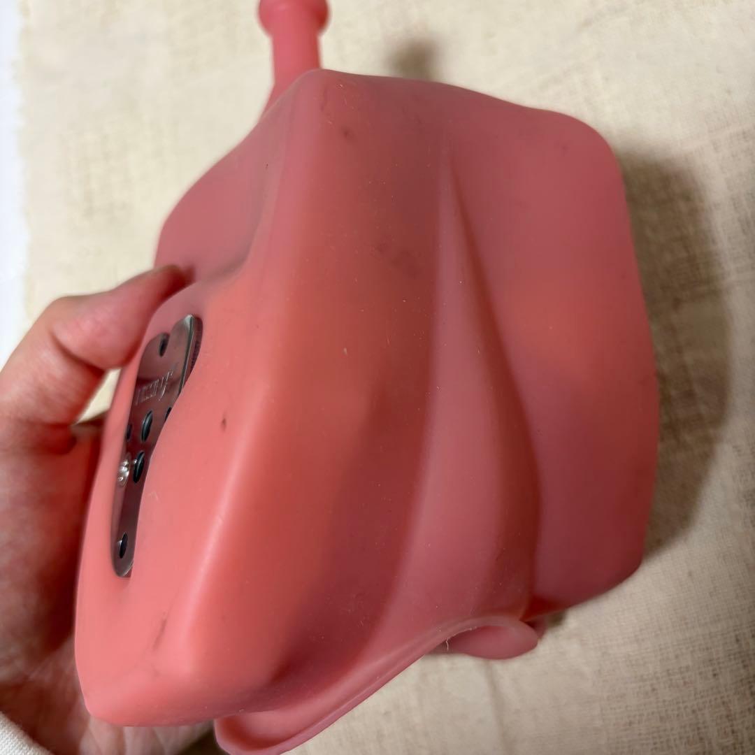 顎模型 頬粘膜付き 箱無し