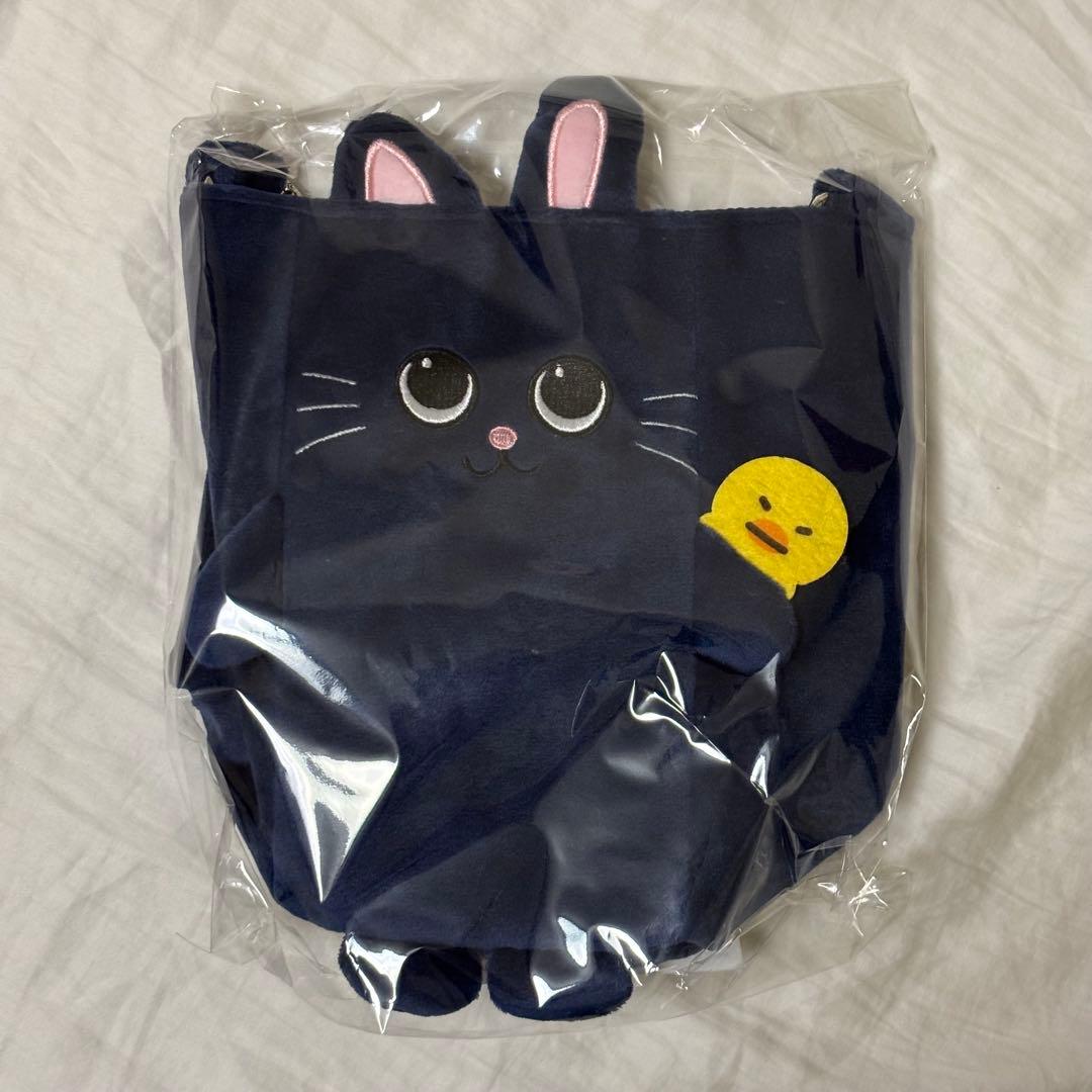 RIIZE 東京ドーム ウォンビン ファンライトバッグ ペンライトバッグ