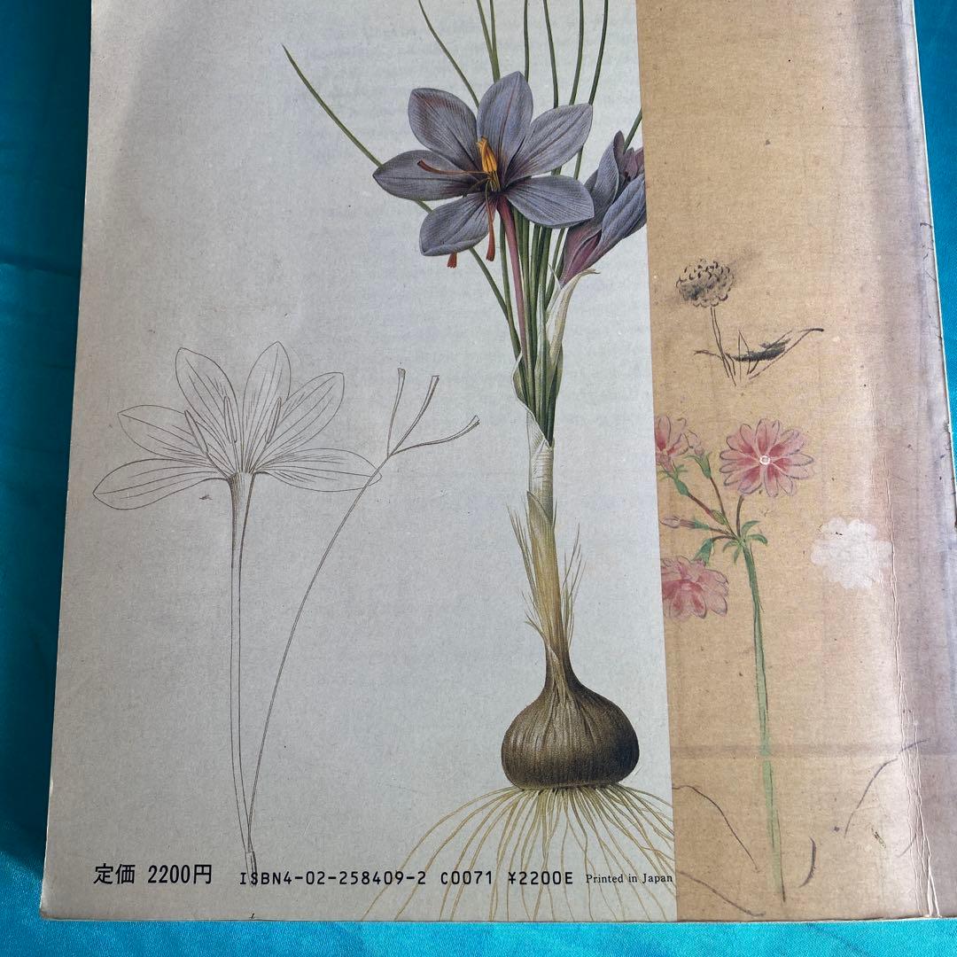ボタニカルアートの世界 - メルカリ