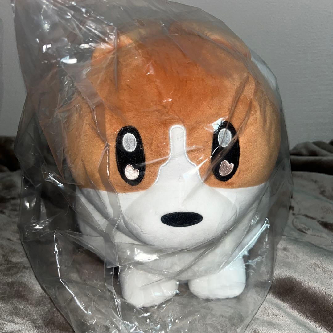 ヨルシカ コーギー ぬいぐるみ - メルカリ