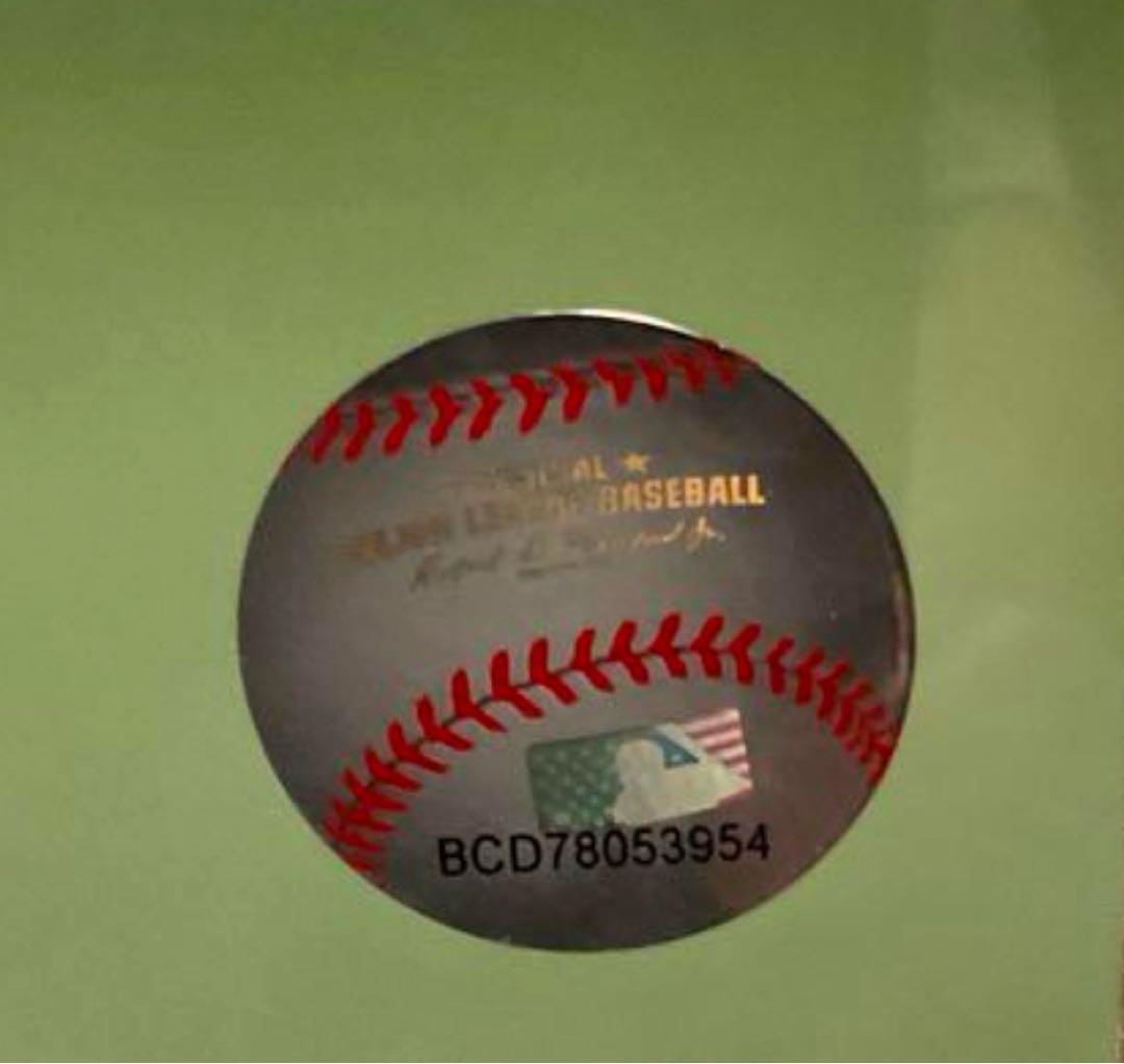 Femando Tatis Jr 直筆サイン 16×20 ホログラム - メルカリ