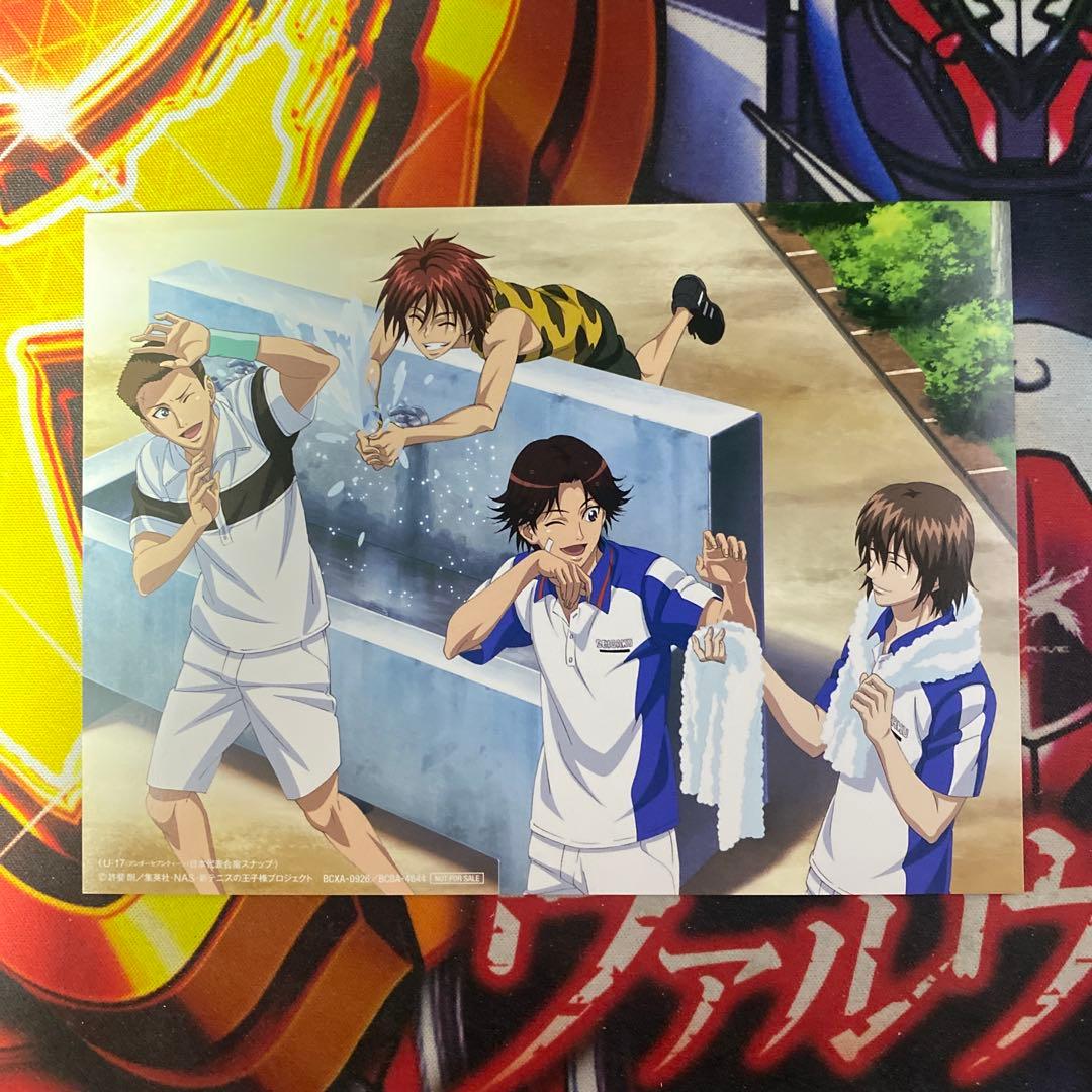 テニスの王子様 非売品 ブロマイド イラストシート 菊丸英二 不二周助