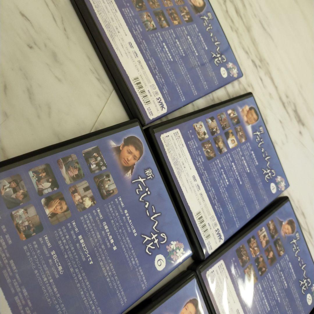 ※専用！！！！！ひろくん様　1万円お値下げ！！　新　だいこんの花　DVD BOX