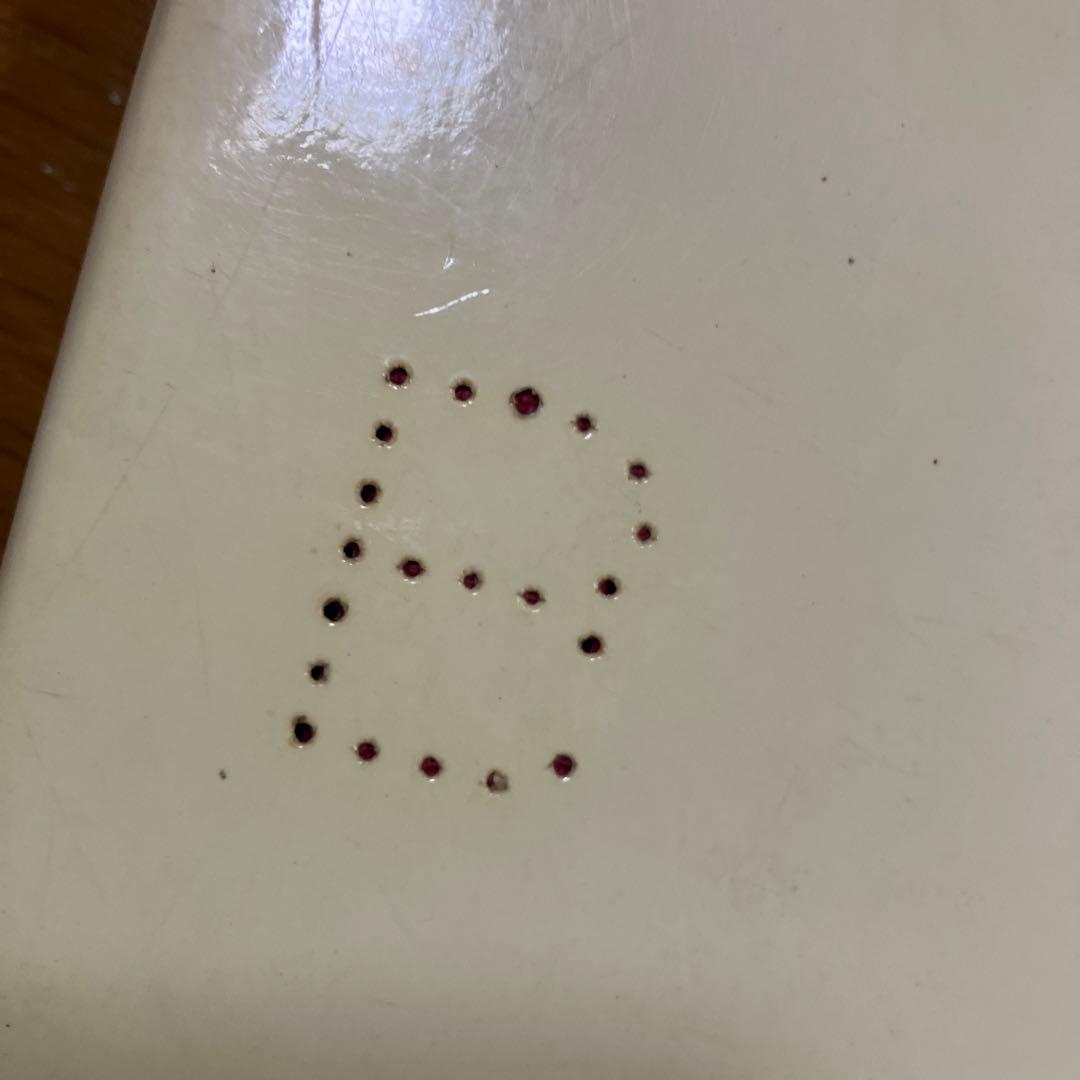 LaTraviata 椿姫写真集ゼッフィレッリイタリア　古本ストラータスドミンゴ